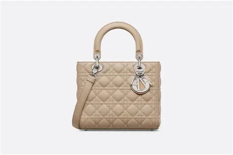 Dior Saddle Bag