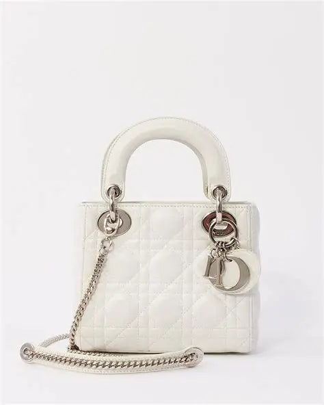 Dior Saddle Bag