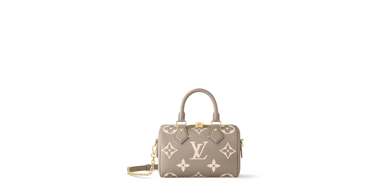Louis Vuitton Speedy